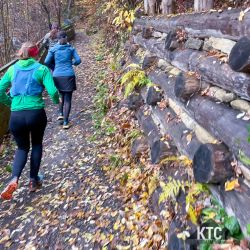 2022-11-20 Frauenlauftreff Schwanberg - 7FFF5AC1-5264-4CB7-B757-2B5764F7F3DE